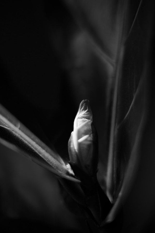 ShotBook visual planning